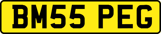 BM55PEG