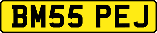 BM55PEJ