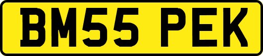 BM55PEK