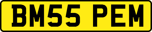 BM55PEM