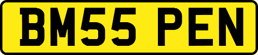 BM55PEN