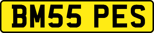 BM55PES