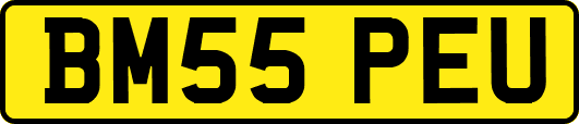 BM55PEU