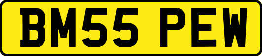 BM55PEW