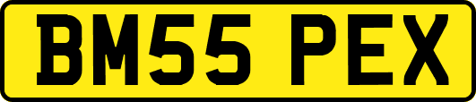 BM55PEX