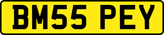 BM55PEY