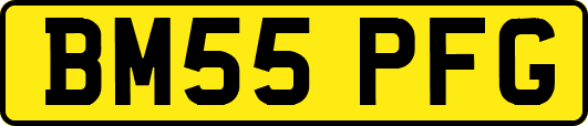 BM55PFG