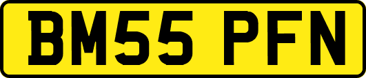 BM55PFN