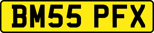 BM55PFX