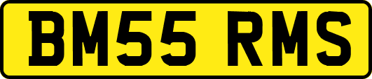 BM55RMS