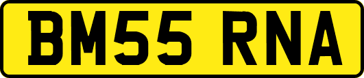 BM55RNA