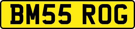 BM55ROG