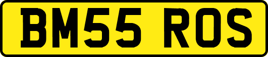 BM55ROS