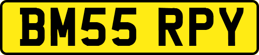 BM55RPY