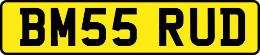 BM55RUD