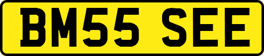 BM55SEE