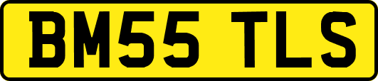 BM55TLS
