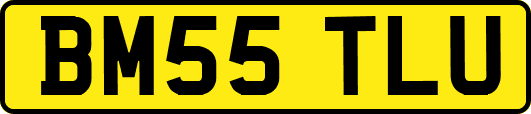 BM55TLU