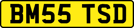 BM55TSD