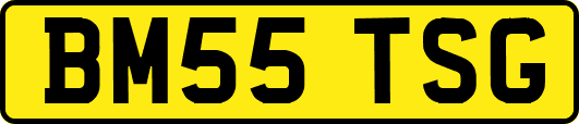 BM55TSG
