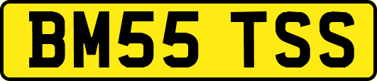 BM55TSS