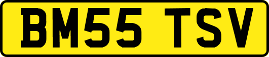 BM55TSV