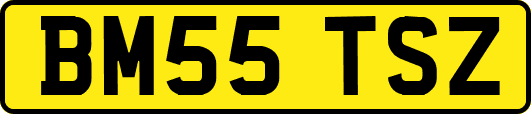 BM55TSZ