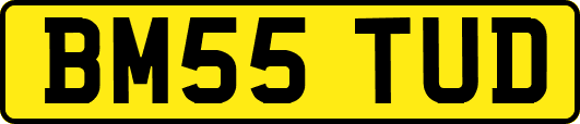 BM55TUD