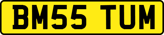 BM55TUM