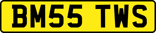 BM55TWS