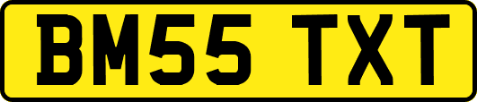 BM55TXT