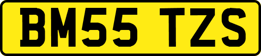 BM55TZS