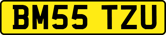 BM55TZU