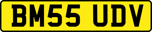 BM55UDV