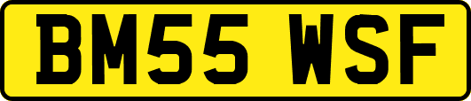 BM55WSF
