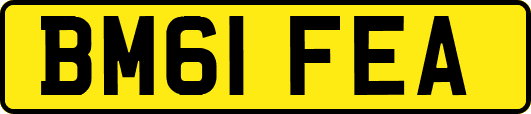 BM61FEA