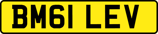 BM61LEV