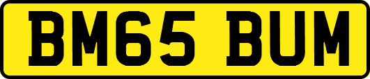 BM65BUM