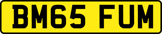 BM65FUM