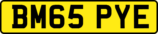 BM65PYE