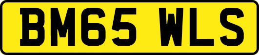 BM65WLS