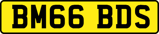 BM66BDS
