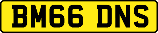 BM66DNS