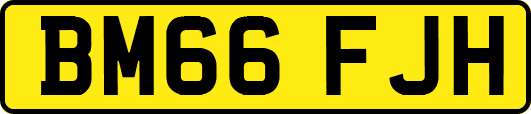 BM66FJH
