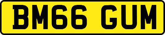 BM66GUM