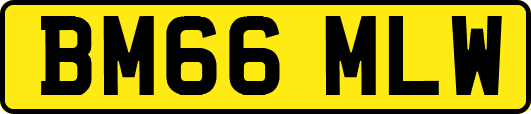 BM66MLW