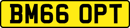 BM66OPT