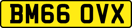BM66OVX