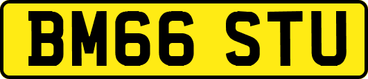 BM66STU