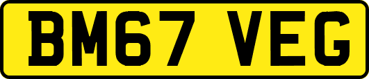BM67VEG